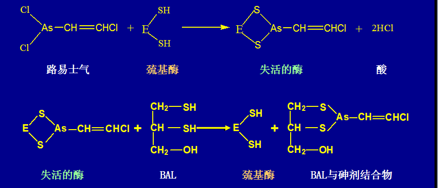 路易氏氣使酶的失活及酶活性的復活