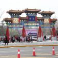 西沽公園 西沽公園