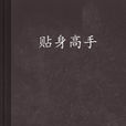 貼身高手(都市生活類型的網路小說) 貼身高手(都市生活類型的網路小說)