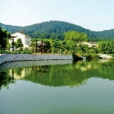 黃虎村(江西新余市良山鎮下轄村) 黃虎村(江西新余市良山鎮下轄村)