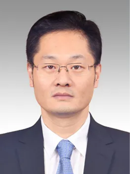 丁力(上海第二工業大學副校長) 丁力(上海第二工業大學副校長)