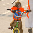 猴子騎腳踏車