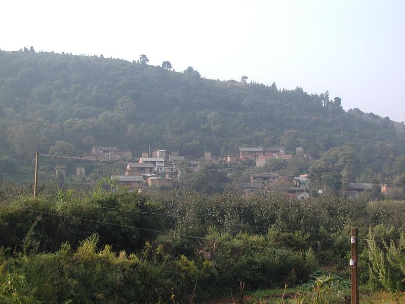 它黑尼村 它黑尼村
