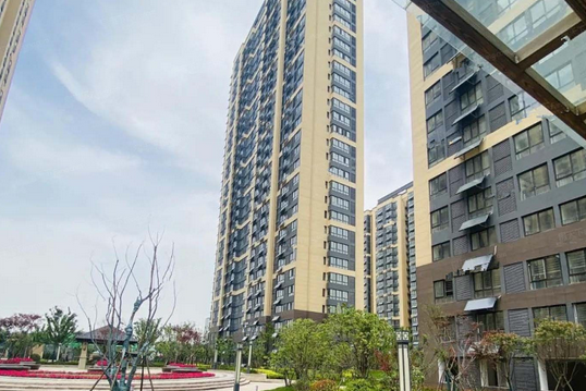 香樟名都 香樟名都