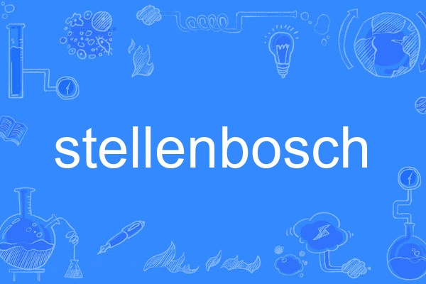 stellenbosch stellenbosch