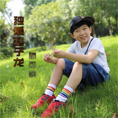 獨愛趙子龍 獨愛趙子龍