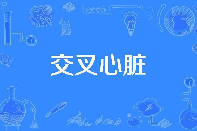 交叉心臟 交叉心臟
