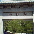 對松山 對松山