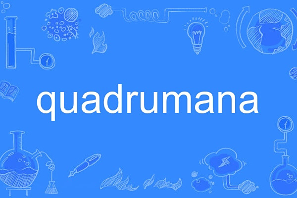 quadrumana quadrumana