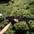 飛碟射擊瞄準 飛碟射擊瞄準