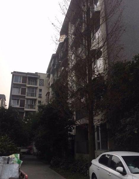 興堰麗景D區 興堰麗景D區
