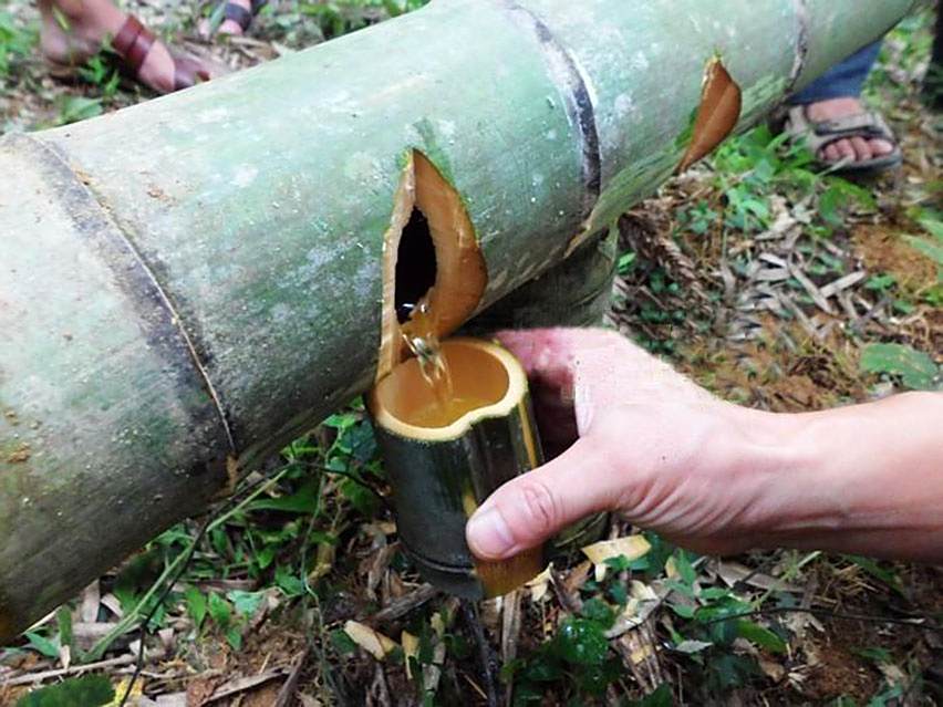 原野竹筒酒