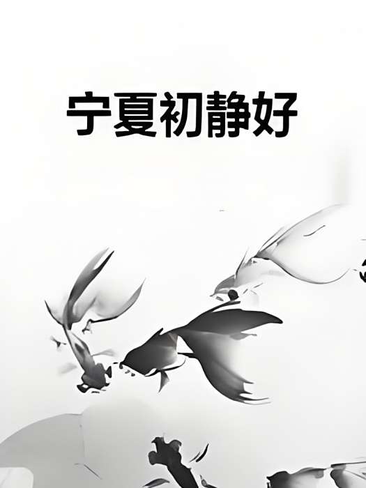 寧夏初靜好 寧夏初靜好