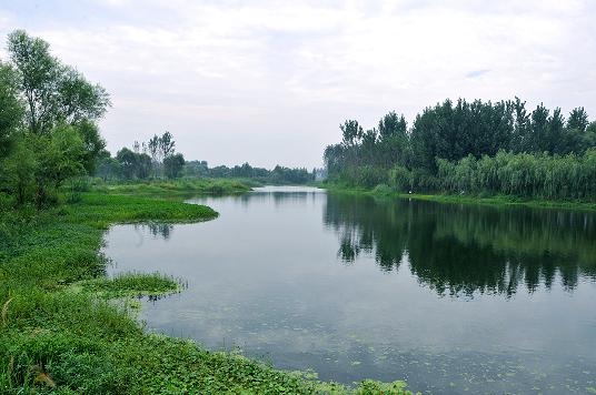 濟西黃河濕地