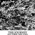 The Journey to the Heart of a Heart The Journey to the Heart of a Heart