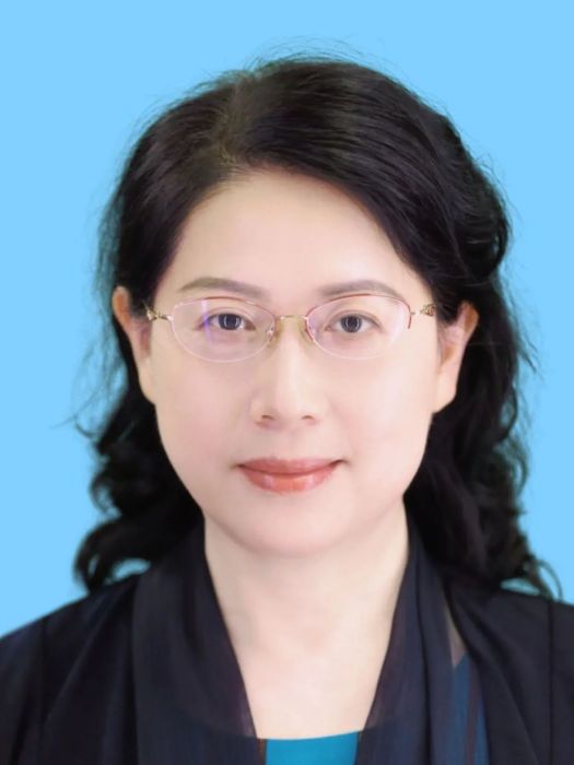 何靜(民進湖北省第八屆委員會副主任委員) 何靜(民進湖北省第八屆委員會副主任委員)