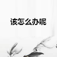 該怎么辦呢 該怎么辦呢