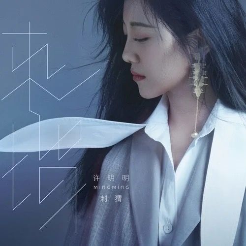 刺蝟(2020年許明明演唱歌曲) 刺蝟(2020年許明明演唱歌曲)