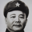 徐海東(卓越的軍事家) 徐海東(卓越的軍事家)