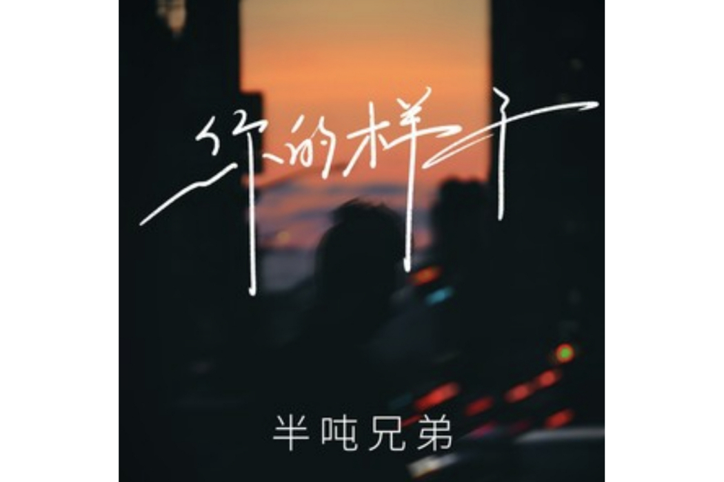 你的樣子(2024年半噸兄弟演唱的歌曲)