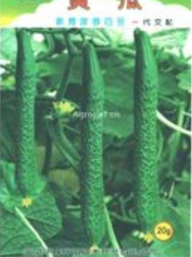 津春4號 津春4號