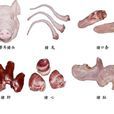 豬副產品 豬副產品