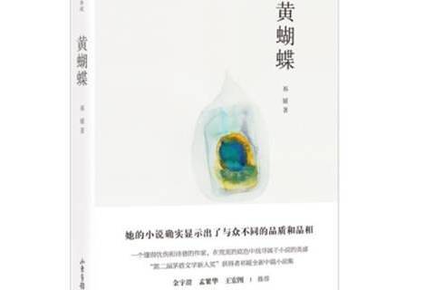 黃蝴蝶(2021年山東畫報出版社出版的圖書) 黃蝴蝶(2021年山東畫報出版社出版的圖書)