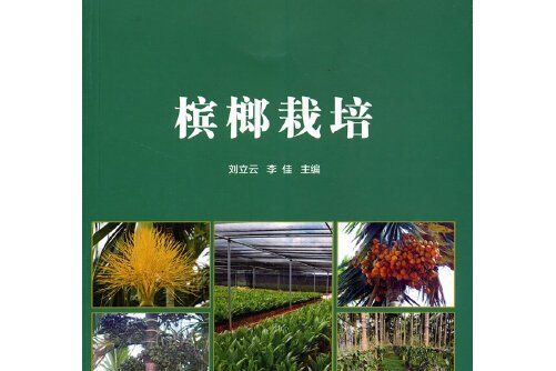 檳榔栽培 檳榔栽培