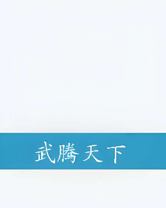 武騰天下 武騰天下
