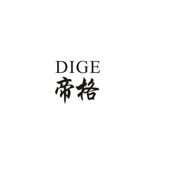 帝格 帝格