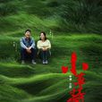 小草青青(嫂娘(2015年王梓執導電視劇)) 小草青青(嫂娘(2015年王梓執導電視劇))