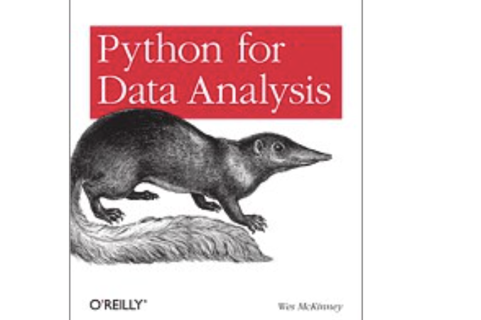 Python for Data Analysis Python for Data Analysis