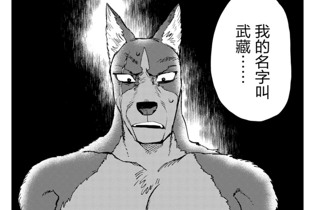 武藏(漫畫《大小姐與七忠犬》中的男主角)