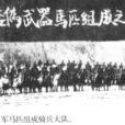 八路軍第359旅
