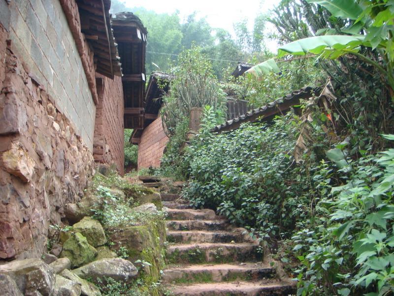 木成箐村