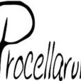 Procellarum