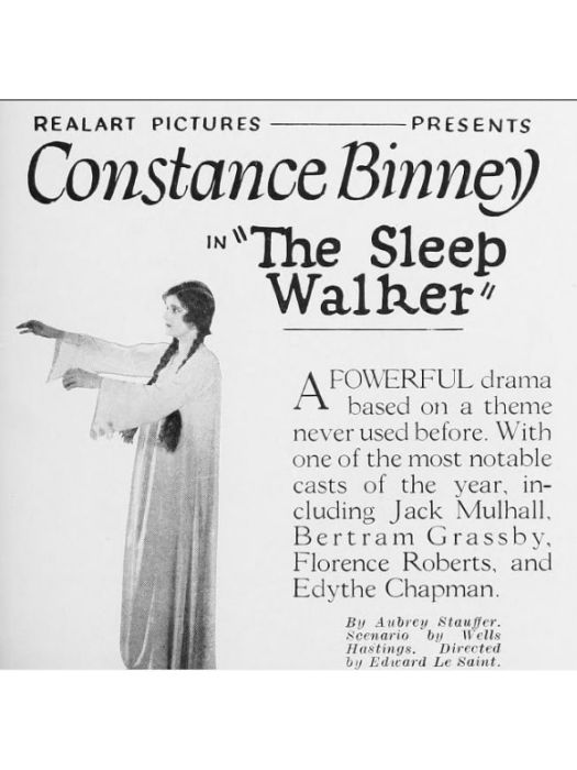 The Sleep Walker The Sleep Walker