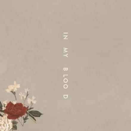 In My Blood(Shawn Mendes演唱歌曲)