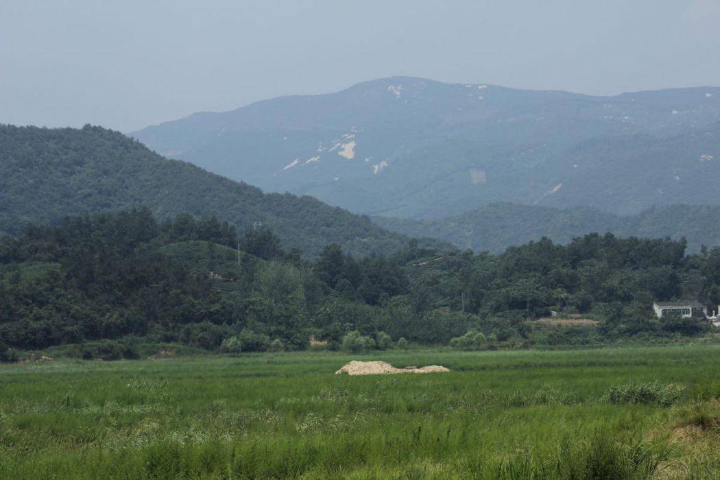 躍婁村 躍婁村