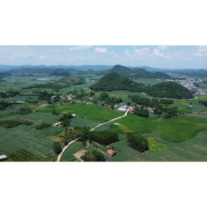 北敢村