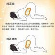 臀位 臀位