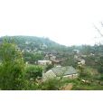 斗母村(雲南省文山州丘北縣八道哨彝族鄉下轄村) 斗母村(雲南省文山州丘北縣八道哨彝族鄉下轄村)
