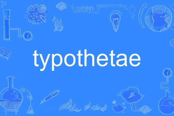 typothetae typothetae