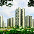 濱湖明珠 濱湖明珠