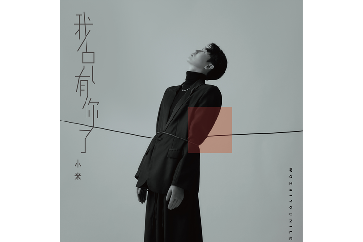 僅你可見(歌曲) 僅你可見(歌曲)