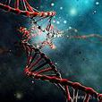 bt(BT生物技術(biotechnology)) bt(BT生物技術(biotechnology))
