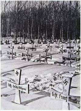 德軍留在蘇聯的大片墳場