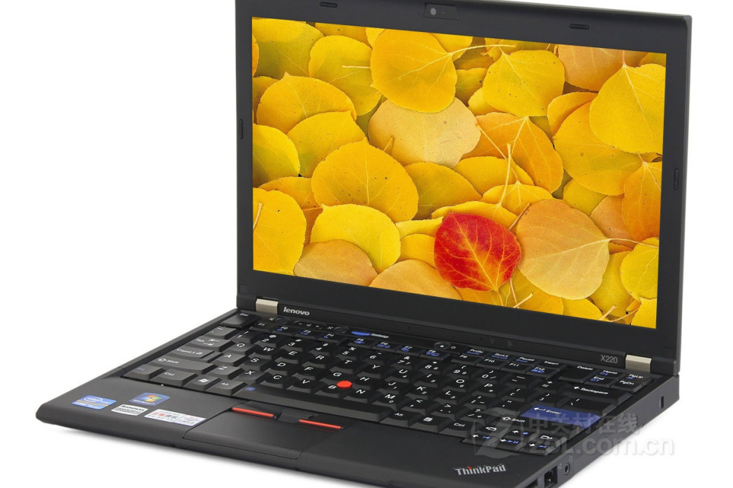 ThinkPad X220(42903DC) ThinkPad X220(42903DC)
