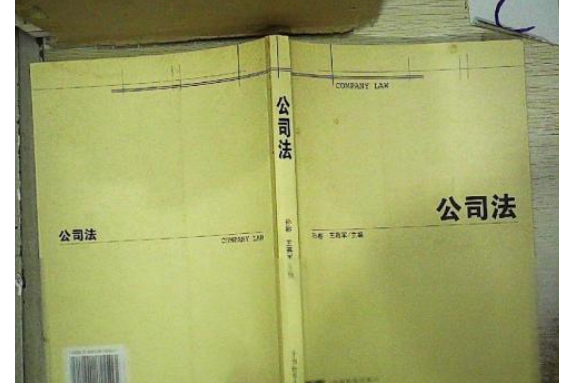 公司法(2006年中國檢察出版社出版的圖書) 公司法(2006年中國檢察出版社出版的圖書)