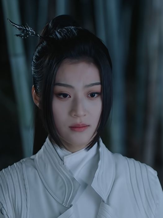 姬雪(電視劇《少年歌行之風花雪月》角色)